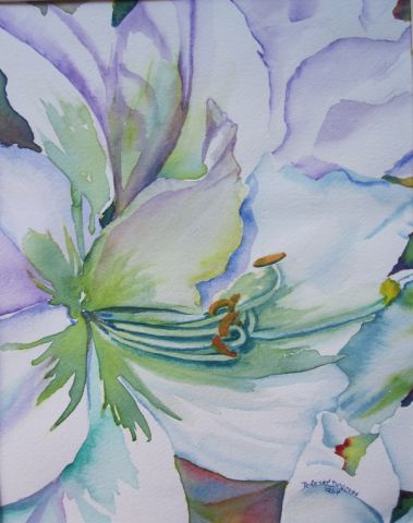 white amarilis 2015sm