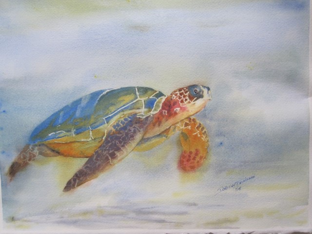 seaturtle
