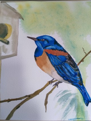 western bluebird mobile