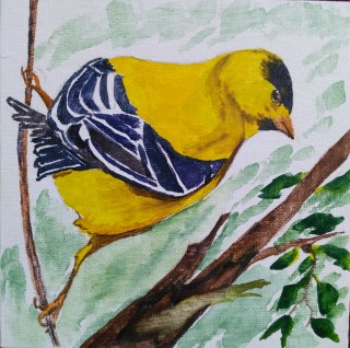 am goldfinch 4 2 mobile