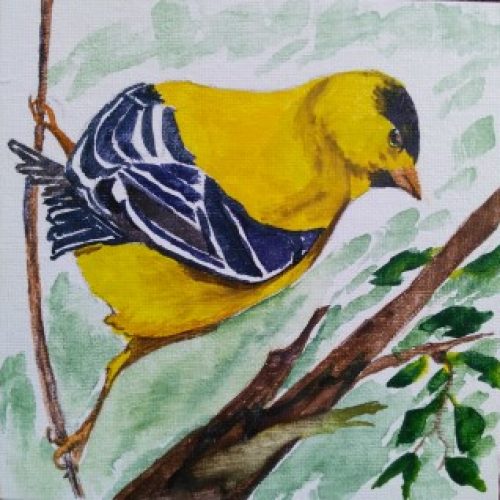 am goldfinch 4 2 mobile