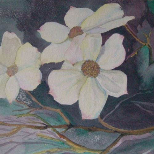 dogwood